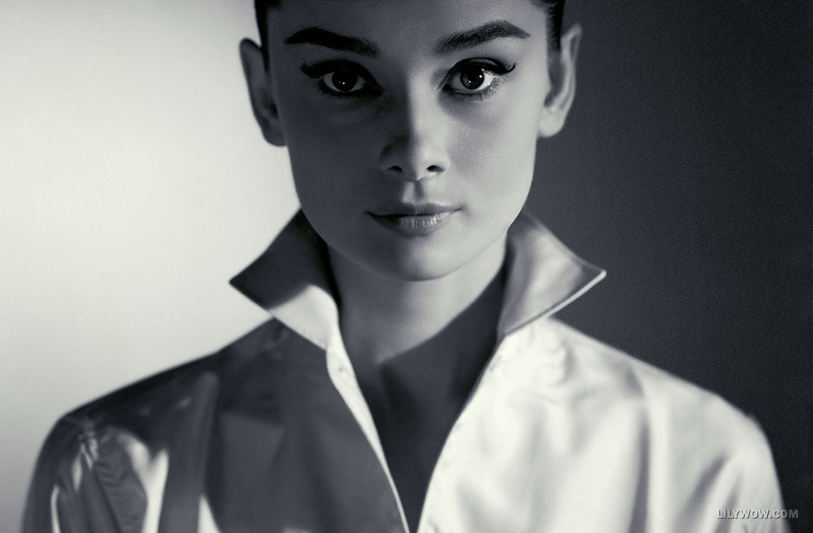 Audrey, My Love Letter 💋